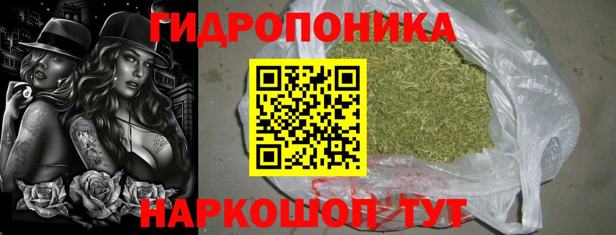 Шишки марихуана Amnesia  Бошки марихуана Amnesia  Вход с VPN  Бошки Шишки Ganja  Гатчина 